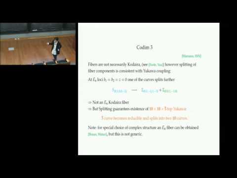 Sakura Schafer-Nameki - F-theory and Singular Elliptic Fibrations