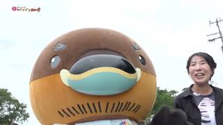 2026/10/13放送・知ったかぶりカイツブリにゅーす