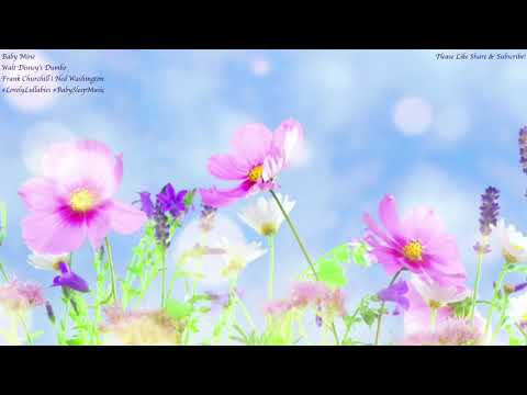 Baby Mine Walt Disney’s Dumbo Music Box Cover | Instrumental Music | Relaxing BGM | Piano Lullabies🎵