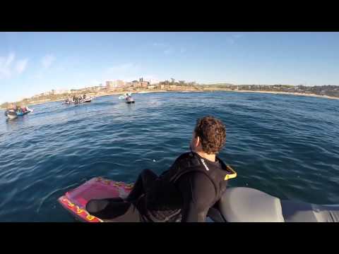 World Oceans Day - Paddle out for Sharks 2014