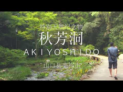 秋芳洞　簡体中文