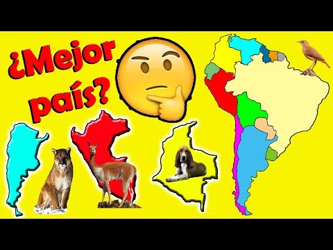 Getting to Know South America in "10 Rankings," Natural Records, and Iconic Animals from Each Cou...