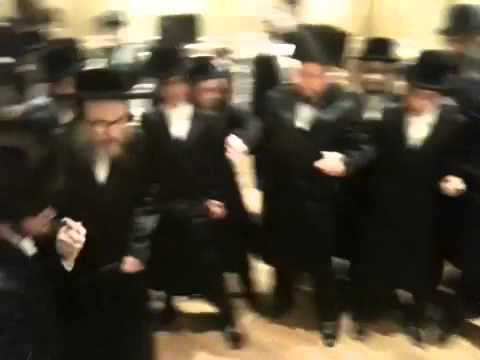 Pupa Rabbi Dancing At Wedding