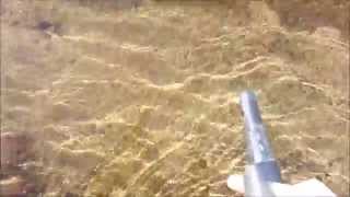 Metal Detecting: Using a pinpointer under water Bullseye TRX at Three Rivers, CA