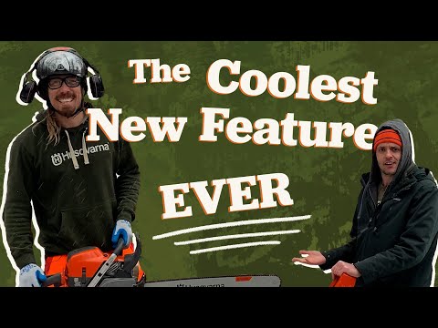 YouTube Thumbnail eLfHabrYl0E