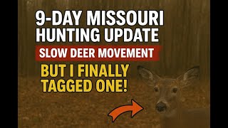 9-Day Missouri Hunting Update: Slow Deer Movement… BUT I Finally Tagged One!