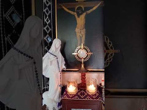 Adoracion Al Santisimo Sagramento del Altar con el Padre Fabian Esteban Oliva. 29/08/26