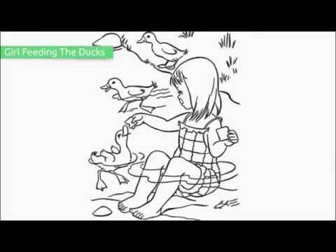 Coloring Pages Free Printable Ducks