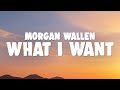 Morgan Wallen & Tate McRae - What I Want
