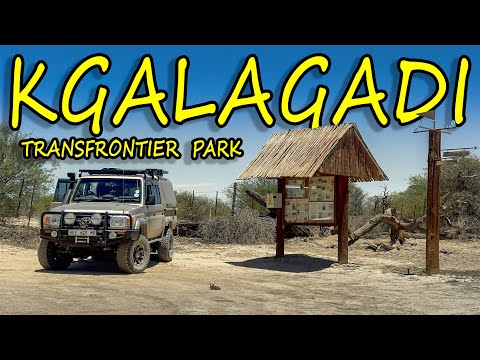 Experience the Kgalagadi LIKE NEVER BEFORE! It Could Be The Best Place On Earth