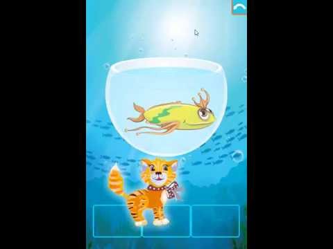 Аквариум Video