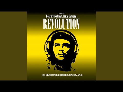 Revolution (Chris Decay Feelgood Remix)