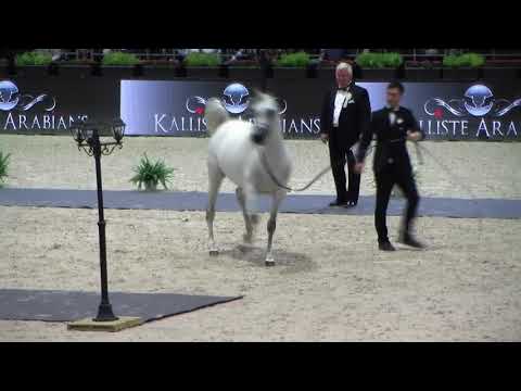 Memories of Paris 2017 - Part 5 - Junior Female Championship