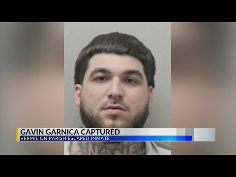 Vpso Recent Arrest