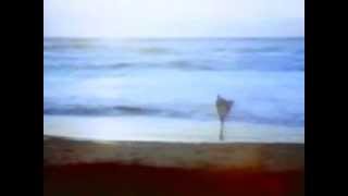 The Queers - Don&#39;t Back Down