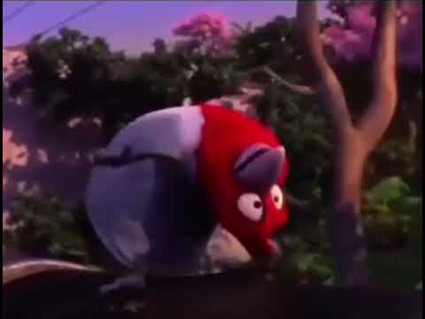 Rio: dancing chicken