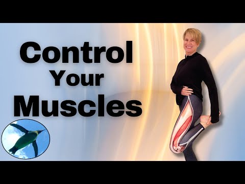 Excitation-Contraction Coupling 🐧🧠💪