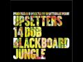 Upsetters - Jungle Fever