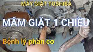 TOSHIBA washing machine with 1-way rotating washing tray || ❤️ Mai Chi Refrigeration ❤️