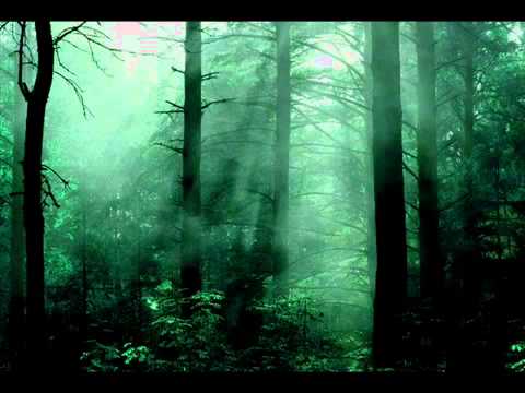 Fulgurum - The Shadow of Death (DSBM)