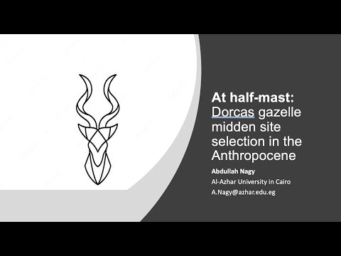 At half-mast: Dorcas gazelle midden site selection in the Anthropocene - Abdullah Nagy