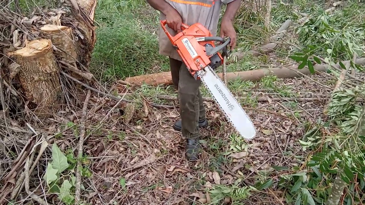 COMO TRABALHAR COM MOTOSSERRA COM SEGURANÇA