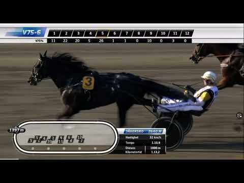 Svenskt Trav Derby 2021 - Calgary Games