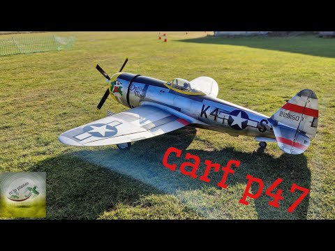P-47 Thunderbolt carf 1/4.5 scale