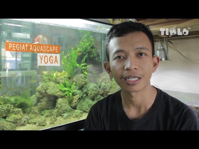 Mengenal Setup Aquascape dan Perawatannya