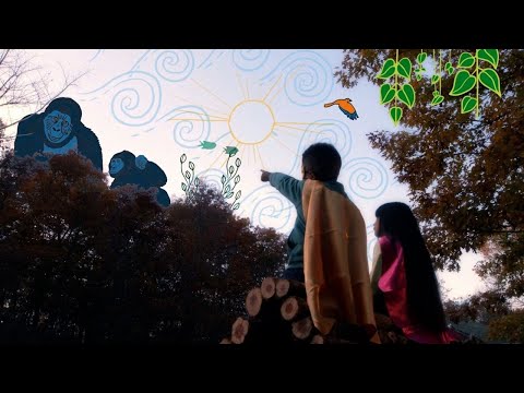 Meet the Champions of the Earth - 2021 Announcement