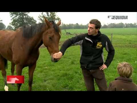 Carnet de pistes : Julien Mérienne