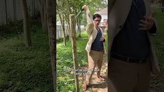 Download lagu An Advantage of the Sword over the Mace mp3 Download lagu An Advantage of the Sword over the Mace mp3