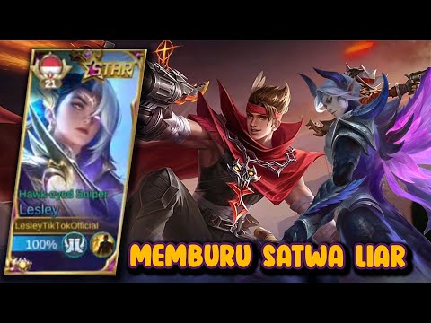 Memburu Onyet dan Lalat Lepas | Build Top Global Lesley - MLBB