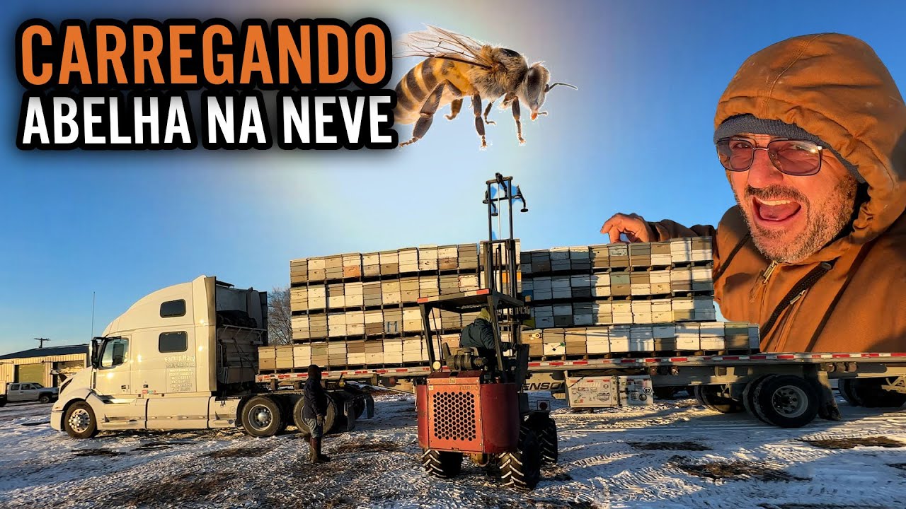 CARREGANDO ABELHA NA NEVE -20 🥶❄️🐝 FECHEI CONTRATO DIRETO COM O FAZENDEIRO 🧑‍🌾 🙏🏻😱