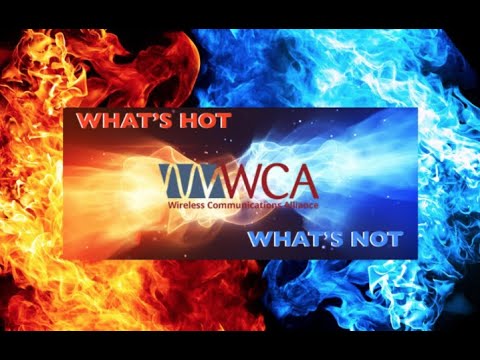 What's Hot & What's Not 2021