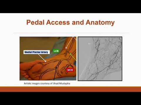 Masters’ Advice on Building a CLI Practice - Tony Das, MD