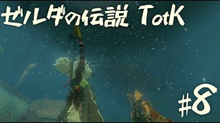 【ゼルダの伝説 ティアーズオブザキングダム】一番高いところを目指す　【８】