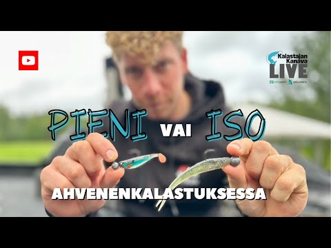 ISO vai PIENI VIEHE ahvenelle? | Kalastajan Kanavan Live