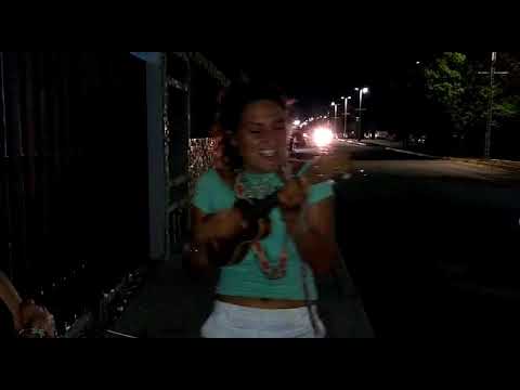 Star Seed @Soham Shala and Suites