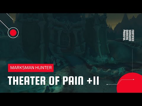 World of Warcraft: Shadowlands | Mythic Theater of Pain +11 | MM Hunter (Season 1)