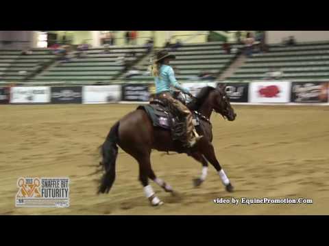 Sioux Me Mama - 2015 SBF Rein Work- Finals