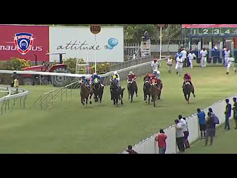 RM37 R1 - Chester's Wish