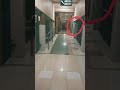 Perhatikan Lingkaran Merah HOROR Shorts