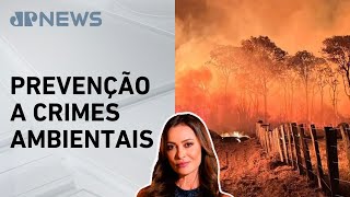 Miniatura do vídeo