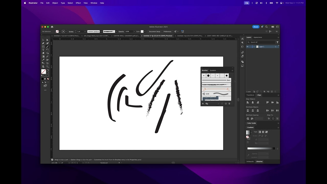 Illustrator: BRUSHES