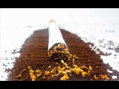 PELA CP BAIT ft VRS - QUE PASE (Audio Oficial)