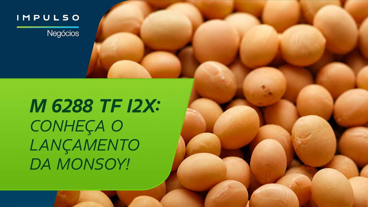 Monsoy: novas tecnologias para soja | Impulso Negócios 198