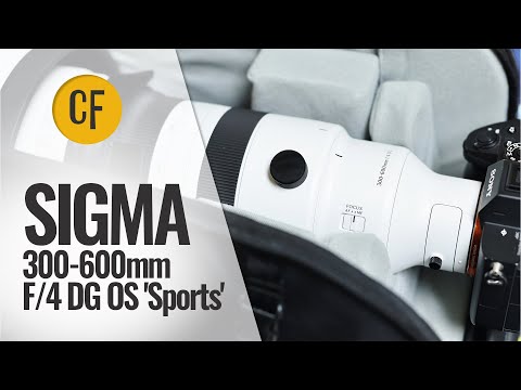 Sigma 300-600mm f/4 DG OS Sports Lens for L Mount, White, Bundle with Filter Kit, Pen Cleaner, Software and Cleaning video review thumbnail