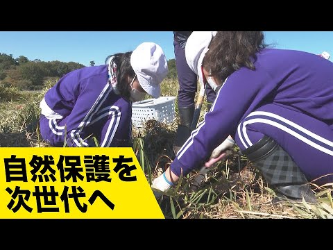 国立自然保護区のリスト - 定義