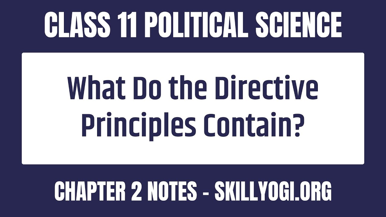 What Do the Directive Principles Contain? | CBSE NCERT Class 11 Political Science Chapter 2